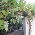 Ferien- Monteurwohnung Neustadtweinstr -bis 4 Pers -zeitvertrag-langaufenthalt Moeglich *