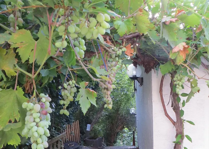 Ferien- Monteurwohnung Neustadtweinstr -bis 4 Pers -zeitvertrag-langaufenthalt Moeglich *